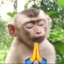 ophanim-emoji avatar