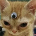 opheliaccurse avatar