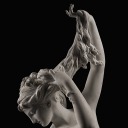 ophelias-lamentation avatar