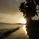 oppai-1s-life avatar