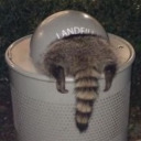 optimistic-personality-disorder avatar