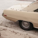 optimistic-turpitude avatar