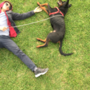 oradabiradamvaar avatar