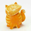 orangecats avatar