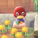 orangehyacinths avatar