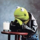 orangesandoxygen avatar