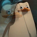 orbiiting-euphoria avatar