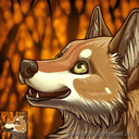 ordentlichwolf avatar