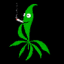 oreganopacker avatar