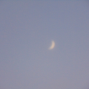 oreomiikshake avatar