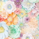 organization-bujo-blog avatar