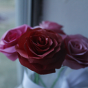 origamiroses16 avatar