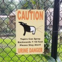 originalangster avatar