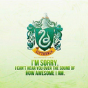 oriharaizayadividesintoslytherin avatar