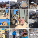 orphanedfamily avatar