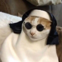 orthodoxcat avatar