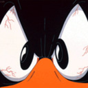 osh-kosh-begosh avatar