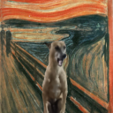 osmiumbinhalide avatar