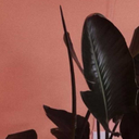 otherstufworld avatar