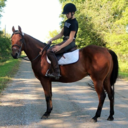 ottb-hunter avatar