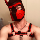 ottothepup avatar