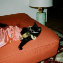 oui-cest-possible avatar