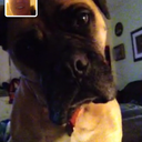 ourfinestyear avatar