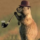 ourprairiedog avatar