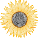 outdoorsunflower avatar