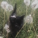 outofdaylight avatar