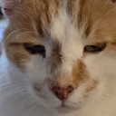 outoforder2024 avatar