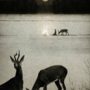 outoftheblueintotheblackk avatar