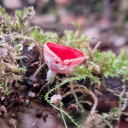 overlordofpotato avatar