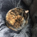 overthinkingaj avatar