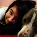 owlcityishappiness avatar