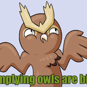 owlsarenotbirds-blog1 avatar