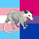 p-ossum-p-unk avatar