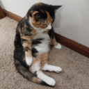 p0pcorn-hearts avatar