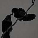 padsashtray-ao3 avatar