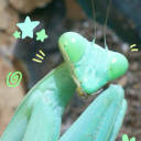 painbringer3000 avatar