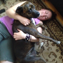 painting-my-stars avatar