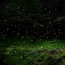 paintingwithbutter avatar