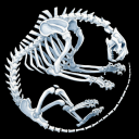 palaeosinensis avatar