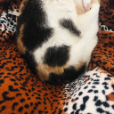 palavrasdesblog avatar