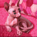 pale-pink-puss avatar