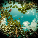 pan-con-jalea avatar