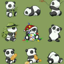 pandachoutaim avatar