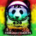 pandakatt0420pk avatar