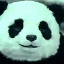 pandalife160 avatar