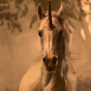 pandapanda29-blog avatar